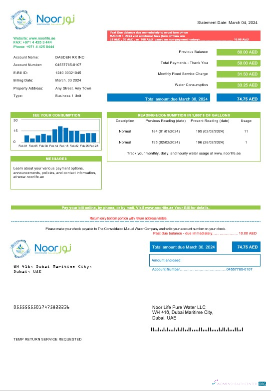 UAE Noor Life Pure Water LLC business utility bill template in Word and PDF formats